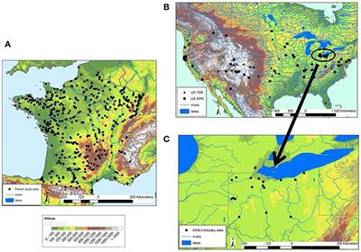 Stream Solutes and Particulates Export Regimes: A New Framework to Optimize Their Monitoring